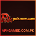 Pak New Game