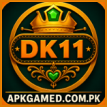 DK111 Game