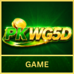 PKWG5D Game