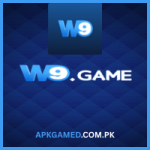 W9 Game