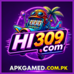 HI309 Game