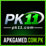 PK11 Game